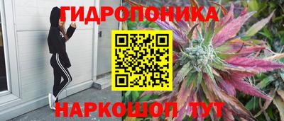 ешки Моздок