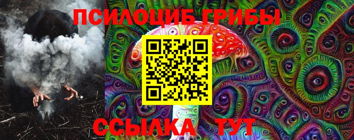 Галлюциногенные грибы Psilocybine cubensis Чебоксары